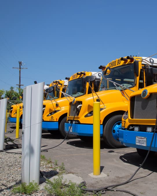 A row of yellow school buses with blue bumpers are parked in a row, with electric charging cords plugged into each of their front grills.