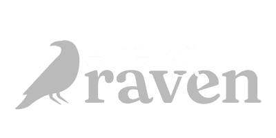 energy raven logo